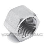 Stainless Steel 317L Cap Hexagon Head-Type of Stainless Steel 317L Pipe Fittings