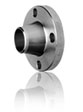 Stainless Steel Flanges