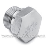 Stainless Steel 317L Hexagon Head Flanged Plug-Type of Stainless Steel 317L Pipe Fittings