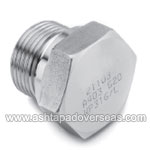 Hastelloy Hexagon Head Flanged Plug-Type of Hastelloy Pipe fittings